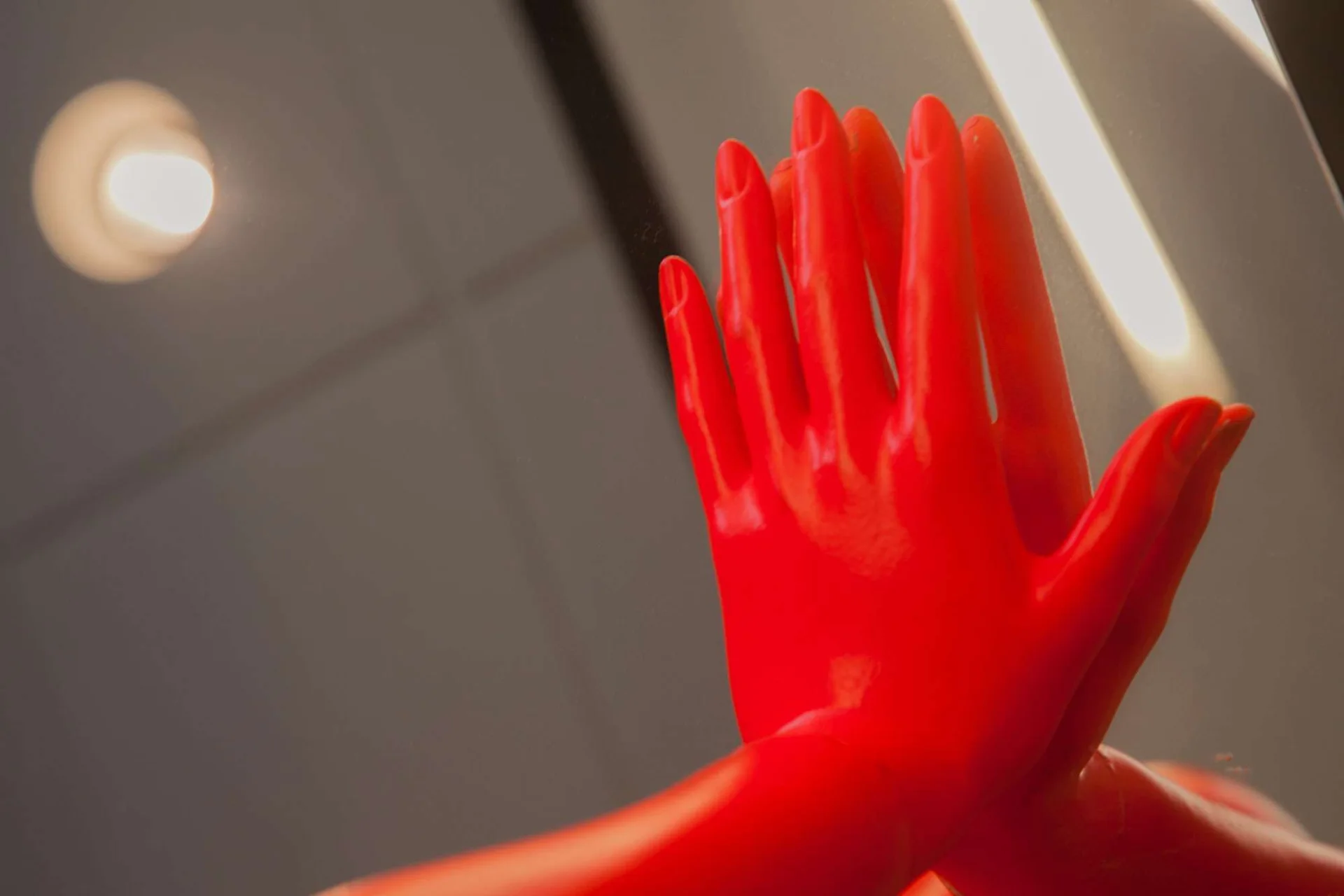 Onok Showroom · Fotografía 4