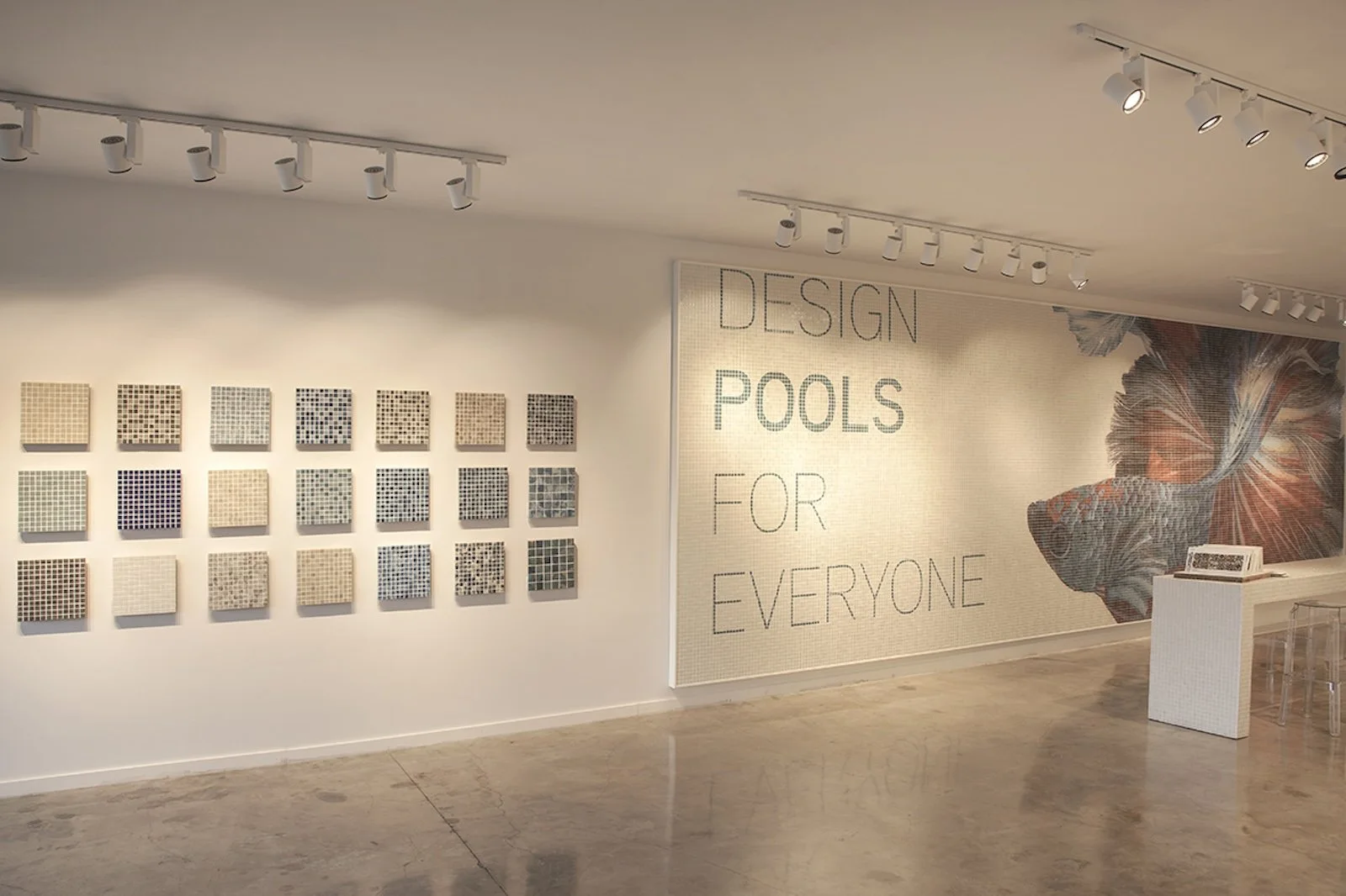 Squamers Showroom · Photo 4