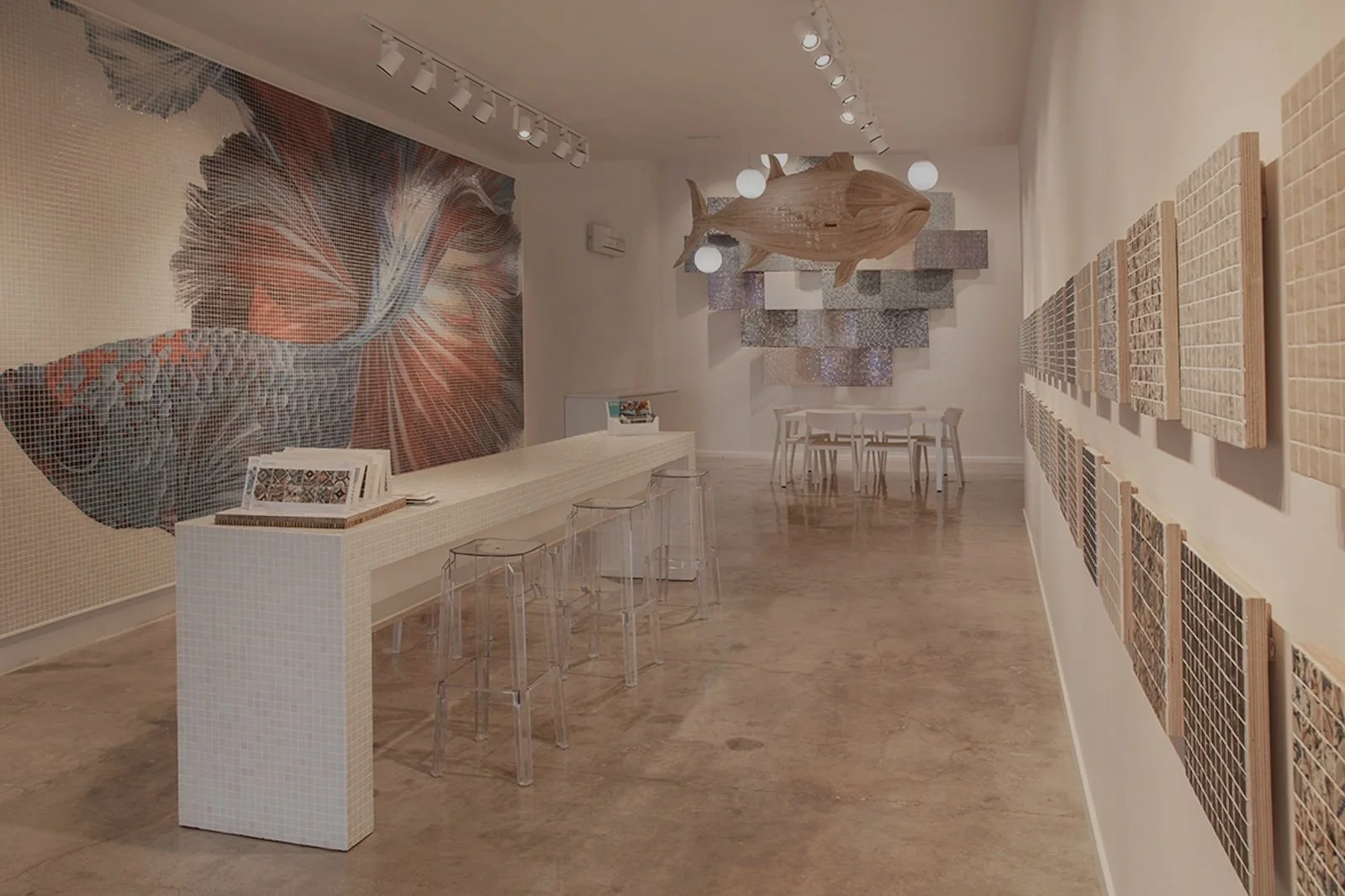 Squamers Showroom