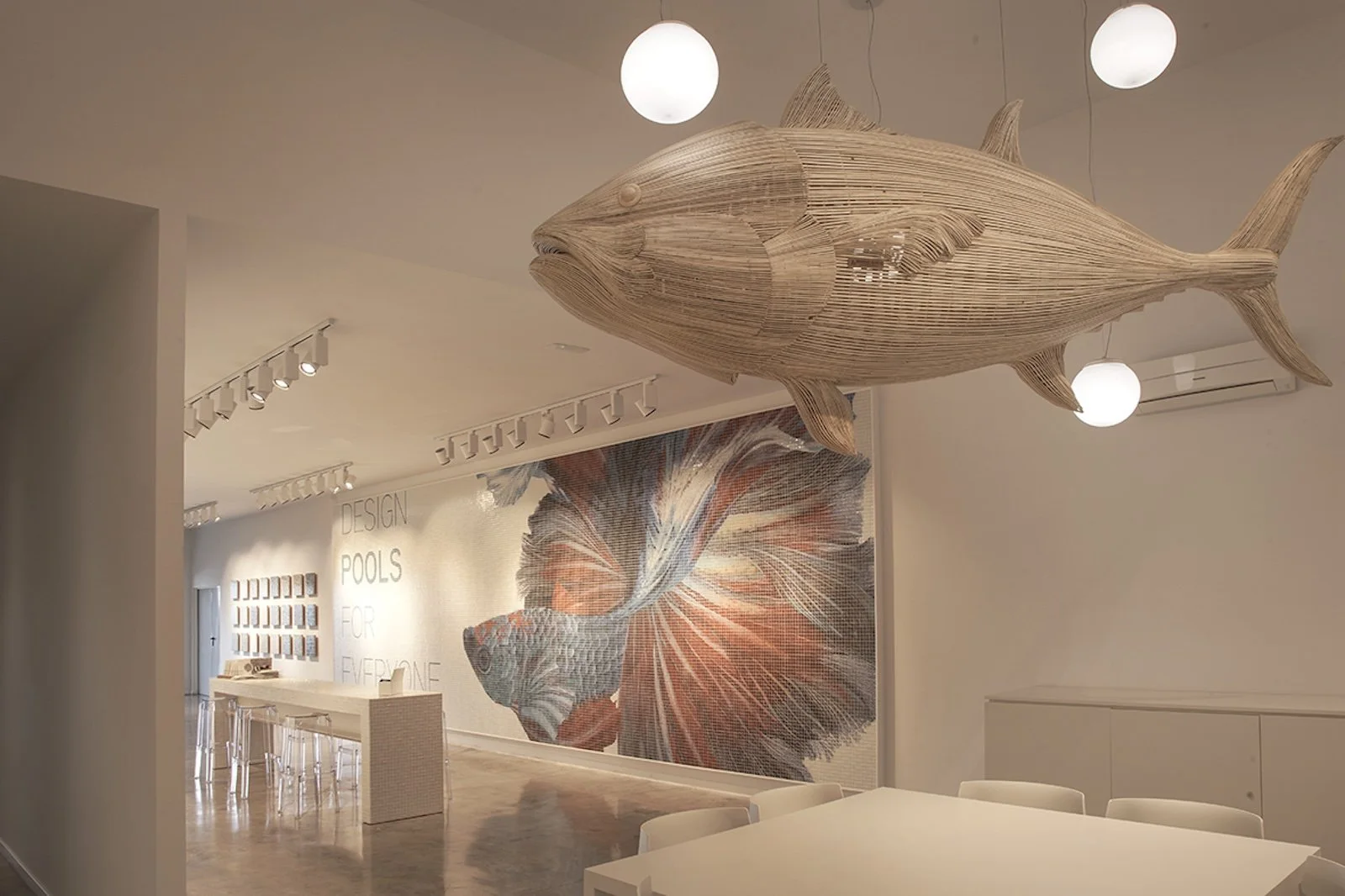 Squamers Showroom · Photo 8