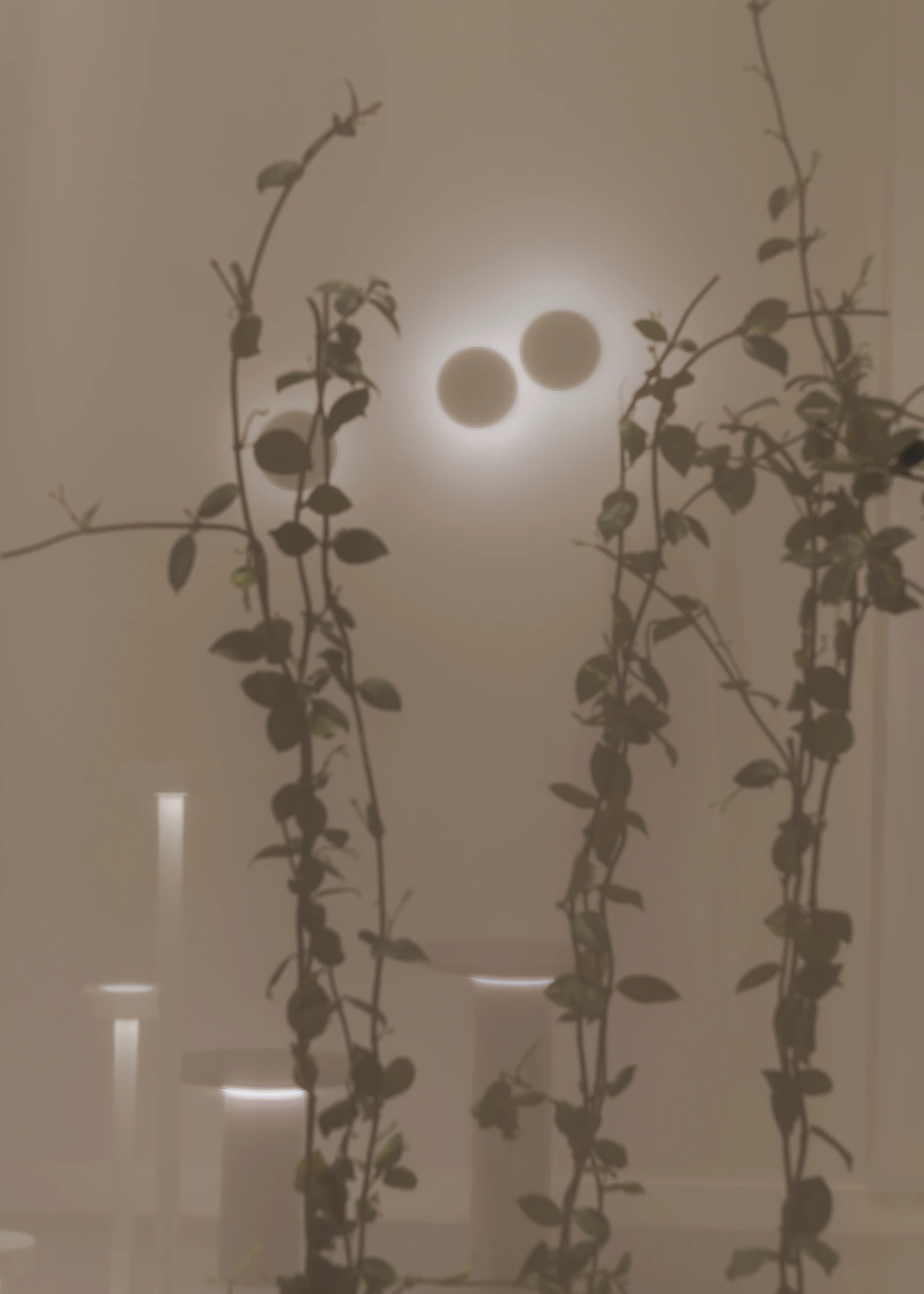 Leds C4 · Photo 13