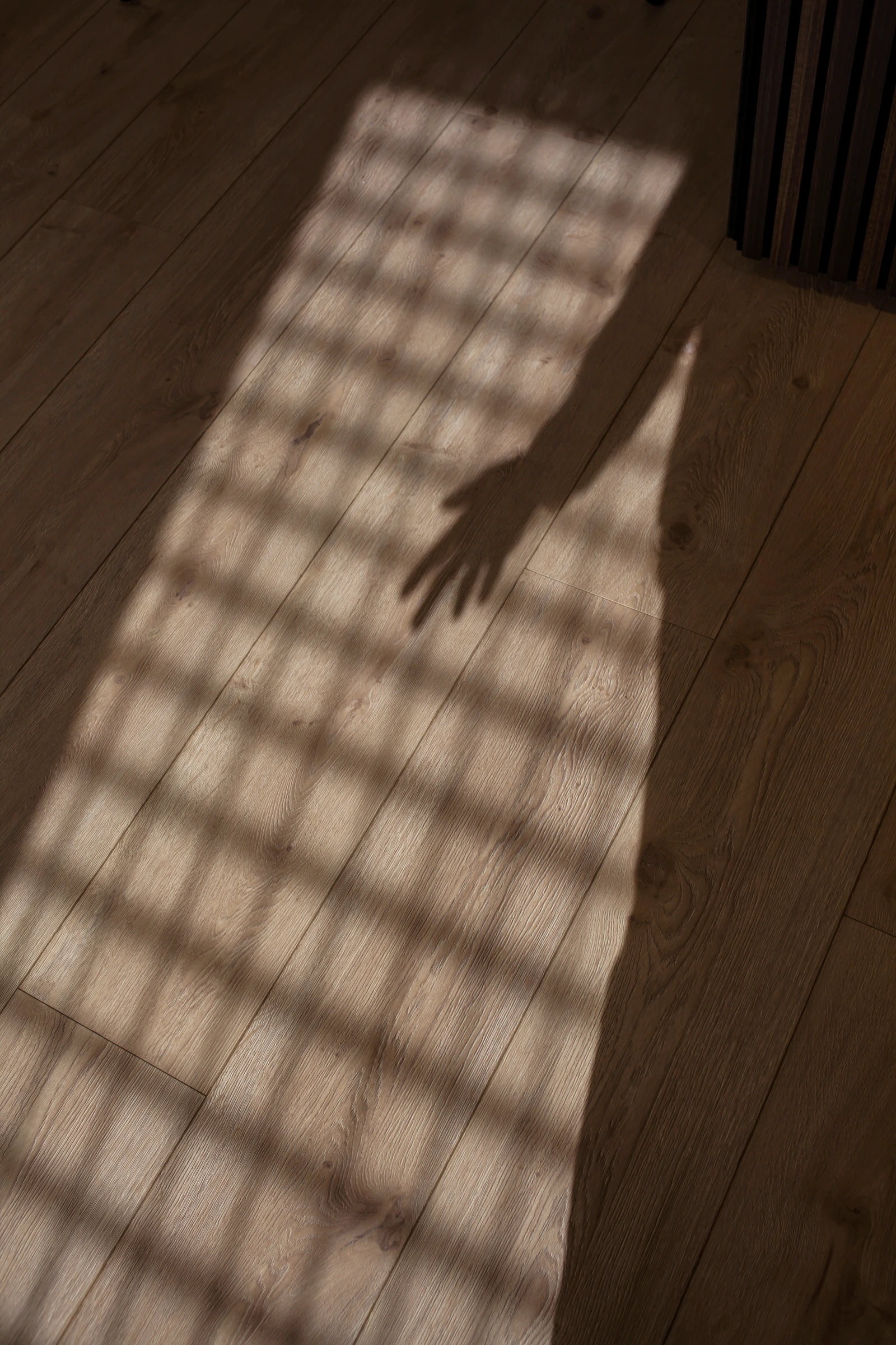 Showroom MDEC · Photo 15