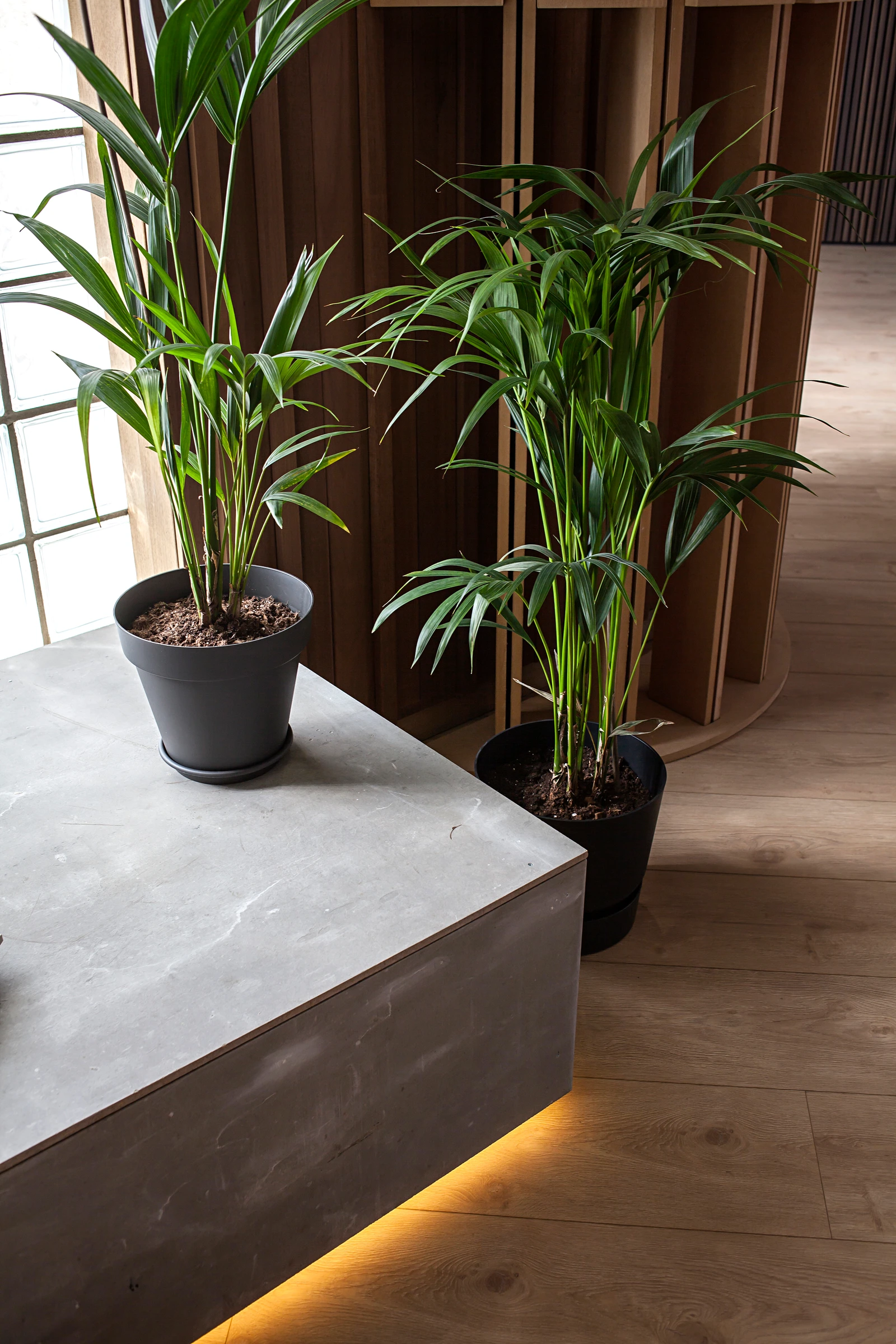 Showroom MDEC · Photo 25