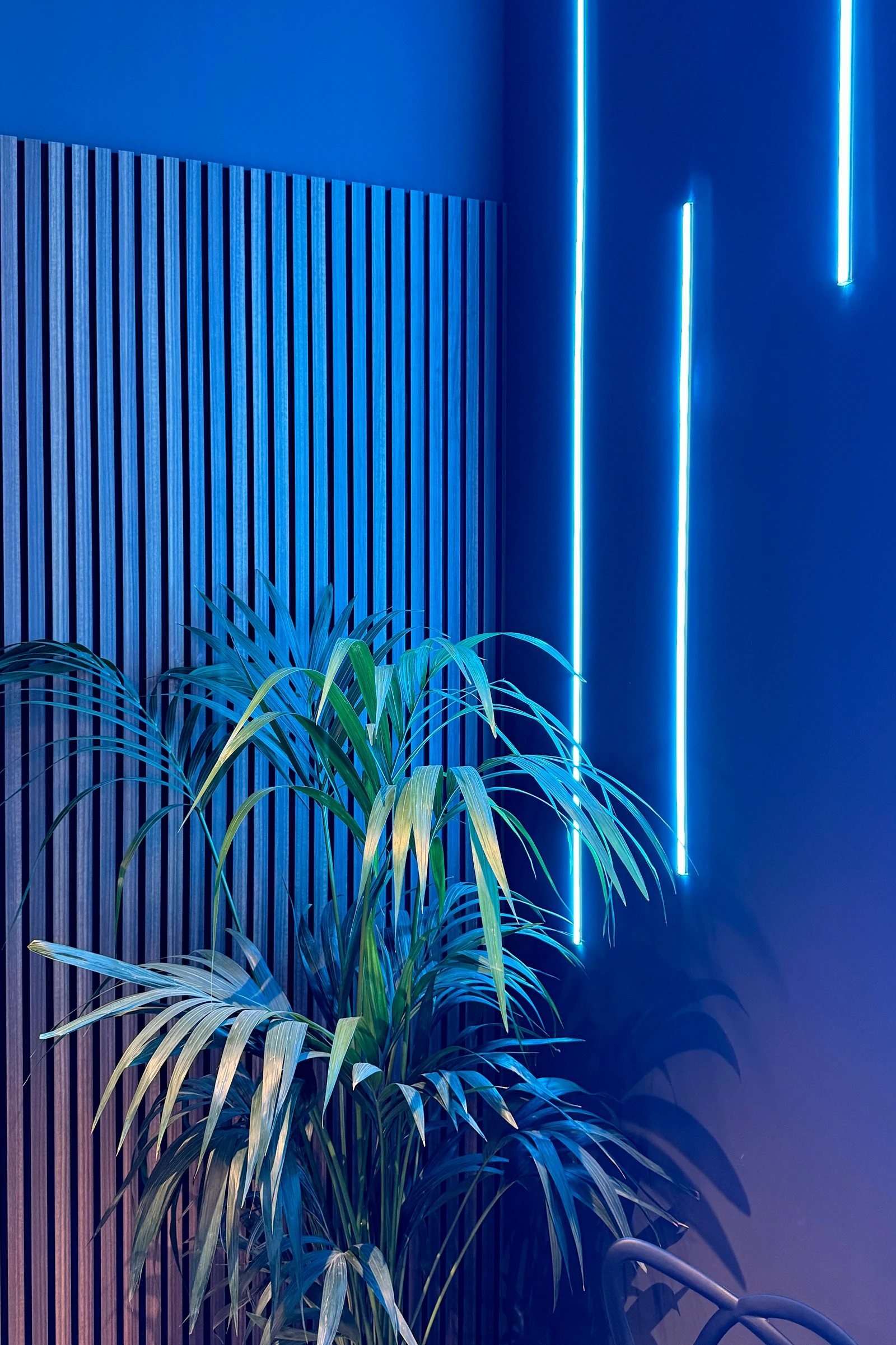 Cecotec · Fotografía 8