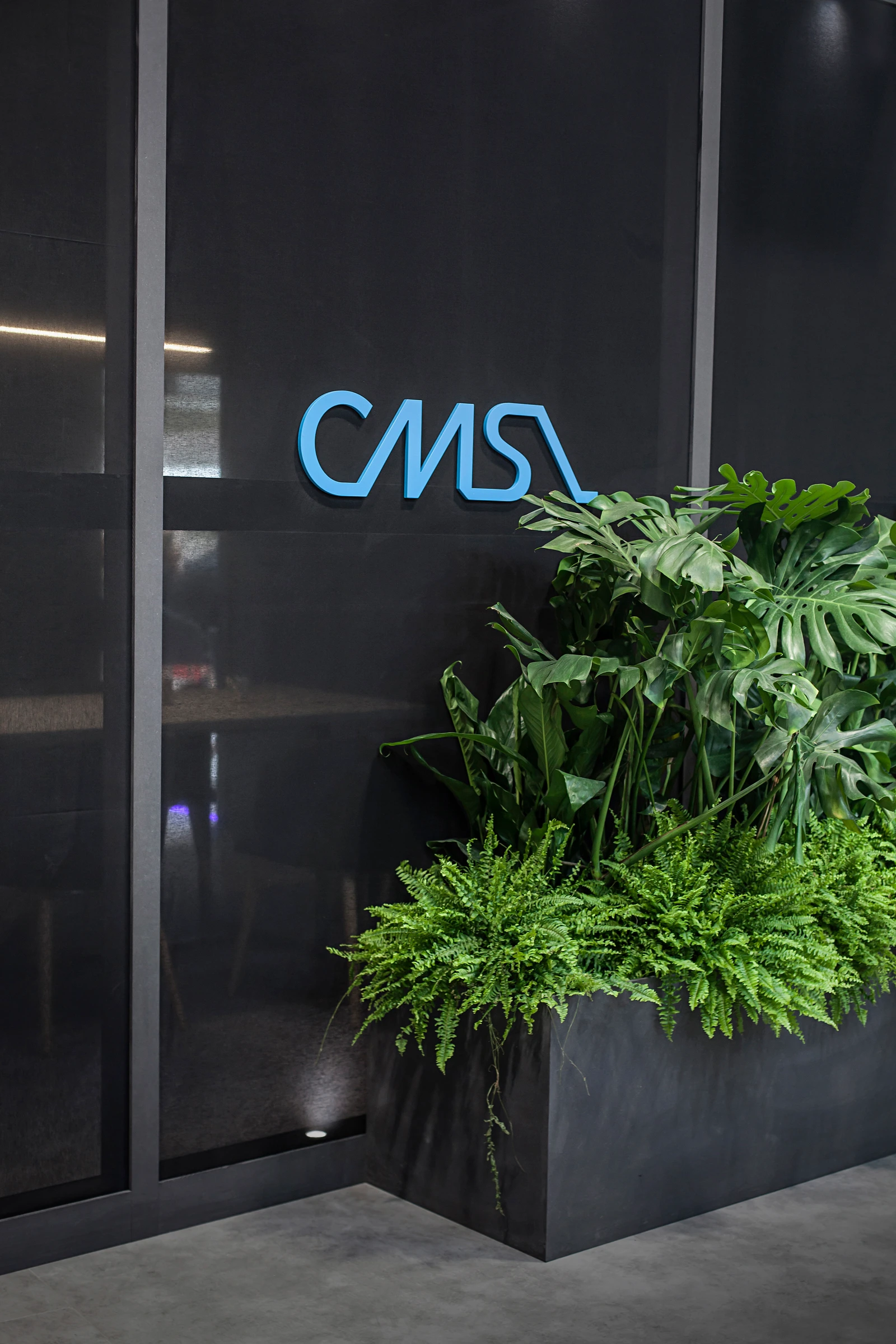 CMSA · Photo 17