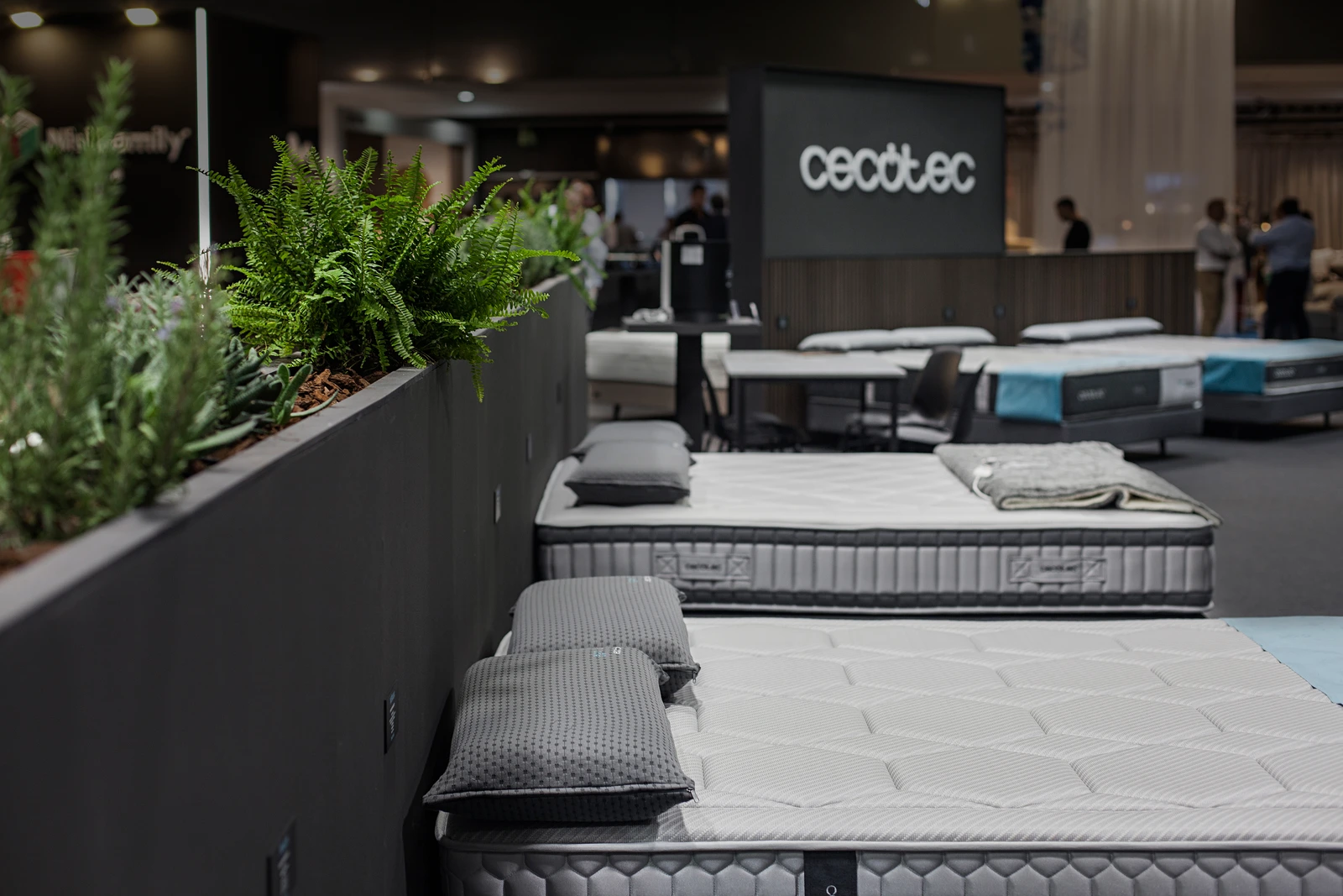 Cecotec · Fotografía 19